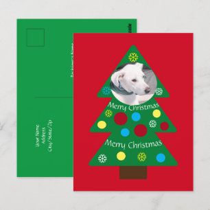 Cartão Postal Cachorro Branco Cachorro Colorido Árvore de Natal