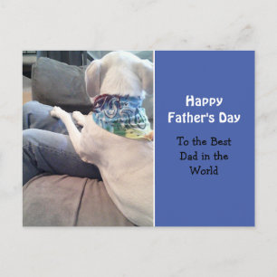 Cartão Postal Cachorro Branco Doce Vestindo Azul Azul De Escarpo