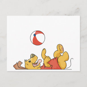 Cartão Postal Cachorro Brincando Com Camisetas e presentes