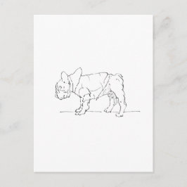 Cartão Postal Cachorro Bulldog Francês Engraçado e Fofo, Humor d