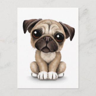 Cartão Postal Cachorro Cachorro Cachorro Cachorro em Branco