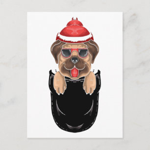 Cartão Postal Cachorro Cachorro Cachorro Senta-se no Bolso