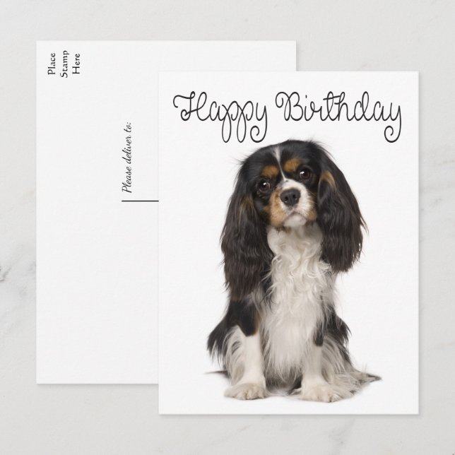 Cartão Postal Cachorro Cavalier Rei Charles Spaniel Aniversário (Frente/Verso)