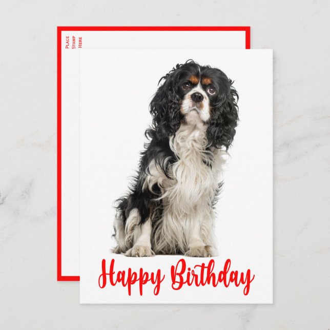 Cartão Postal Cachorro Cavalier Rei Charles Spaniel Birthday Po (Frente/Verso)