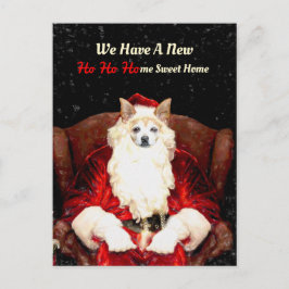 Cartão Postal Cachorro Chihuahua do Papai Noel Vermelho Engraçad