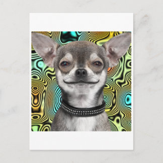 Cartão Postal Cachorro Chihuahua Sorridente