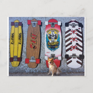 Cartão Postal Cachorro com mural de skate Dogtown