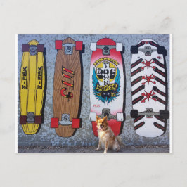 Cartão Postal Cachorro com mural de skate Dogtown
