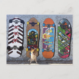 Cartão Postal Cachorro com skateboards Mural