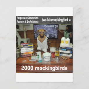 Cartão Postal Cachorro Conhecido - Conversão Esquecida, kilomock