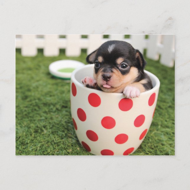 Cartão Postal Cachorro Corinto na caneca (Frente)