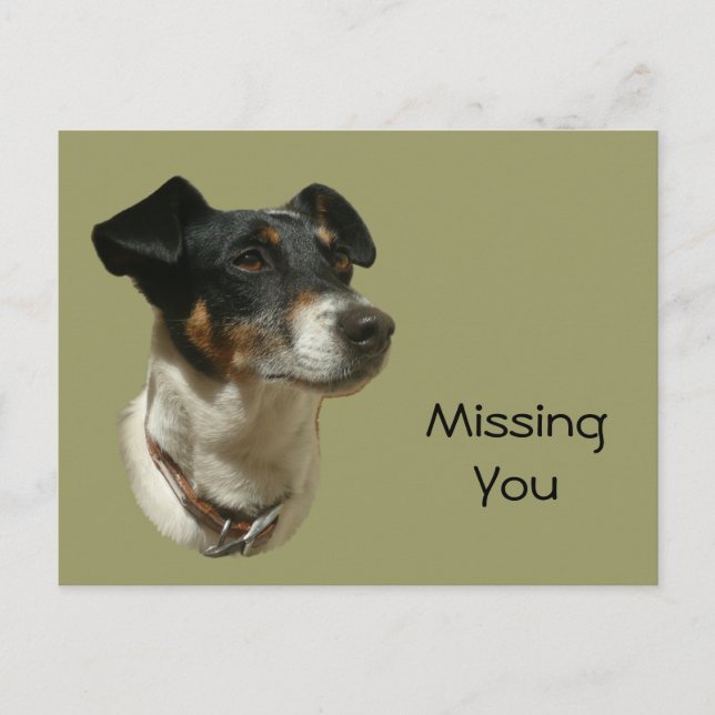 Cartão Postal Cachorro Cute Jack Russell (Frente)