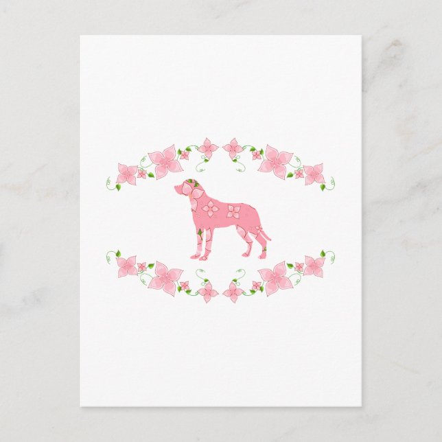 Cartão Postal Cachorro da Grande Montanha Suíça (Frente)