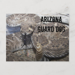 Cartão Postal Cachorro da Guarda da arizona