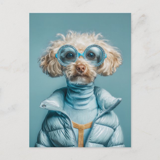 Cartão Postal Cachorro da Moda com Roupa Azul (Frente)