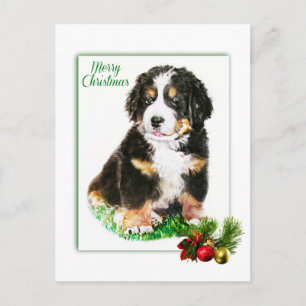 Cartão Postal Cachorro da Montanha Bernese