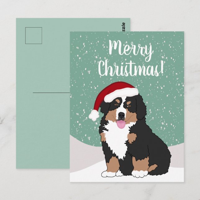Cartão Postal Cachorro da montanha Bernese de Natal  (Frente/Verso)