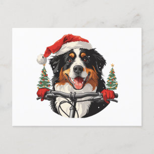 Cartão Postal Cachorro da Montanha Bernese de Natal