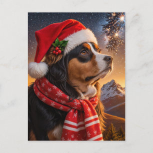 Cartão Postal Cachorro da Montanha Santa Hat Bernese
