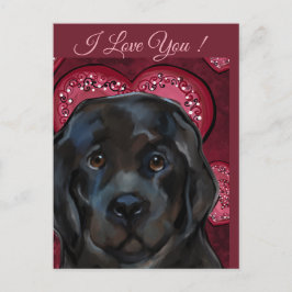 Cartão Postal Cachorro da Terra Nova