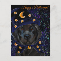 Cachorro da Terra Nova