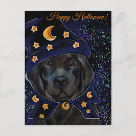 Cartão Postal Cachorro da Terra Nova