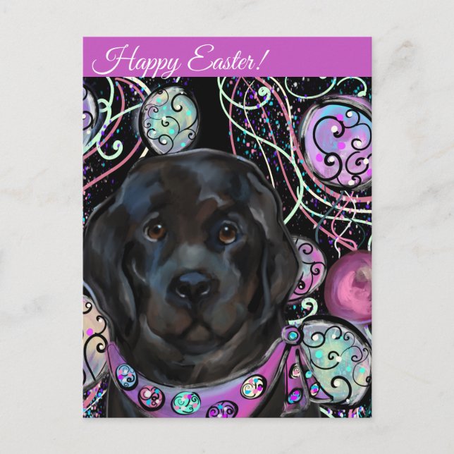 Cartão Postal Cachorro da Terra Nova (Frente)