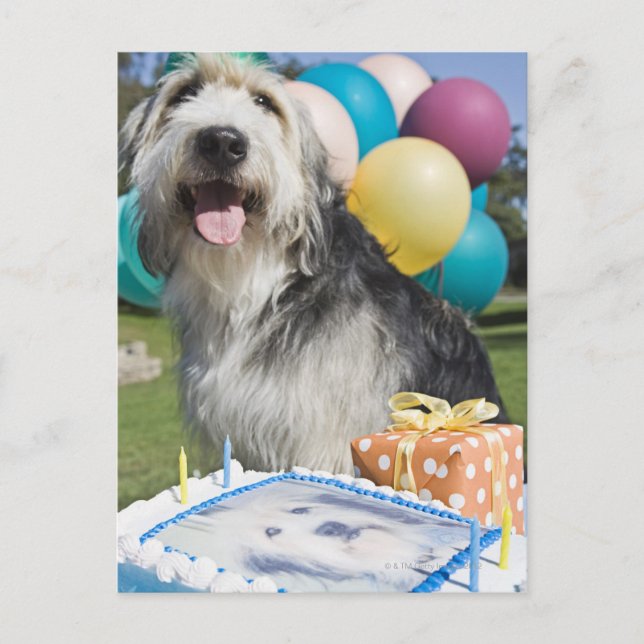 Cartão Postal Cachorro de aniversário (Frente)