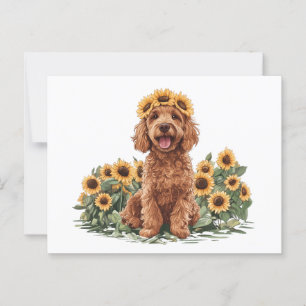 Cartão Postal Cachorro de Goldenododododle Cute Vestindo Uma Cor