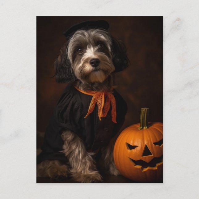 Cartão Postal Cachorro De Halloween Bonito Com Jack O Lanterna (Frente)