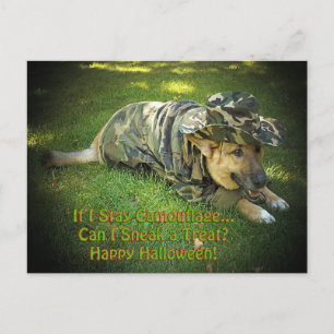 Cartão Postal Cachorro de Halloween em Camouflage