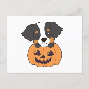 Cartão Postal Cachorro De Montanha Bernese Em Cães De Pumpkin Fe