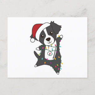 Cartão Postal Cachorro de Natal da Fronteira Cachorro de inverno