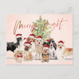 Cartão Postal Cachorro de Natal Férias Pegas Feliz Santa Hat