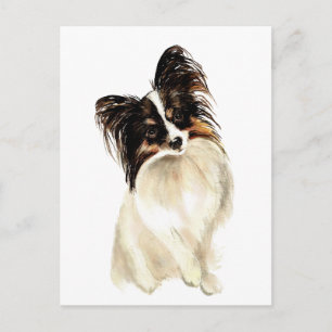 Cartão Postal Cachorro De Papillon, Pet