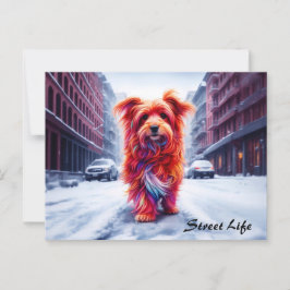 Cartão Postal Cachorro de rua adorável em uma paisagem gelada na