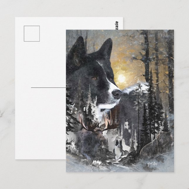 Cartão Postal Cachorro de Urso Karelian (Frente/Verso)