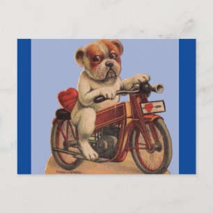 Cartão Postal Cachorro de Vintage em Cartaz de Namorados de Moto