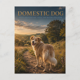 Cartão Postal Cachorro Doméstico Caminho Campestre ANIMAIS
