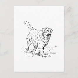 Cartão Postal Cachorro Dourado Feliz, Personalizado