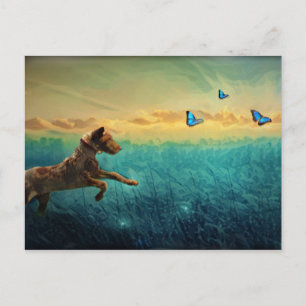 Cartão Postal Cachorro E Borboleta