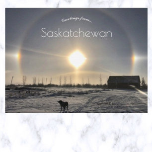 Cartão Postal Cachorro e Cachorro Sol em Archydal Saskatchewan C