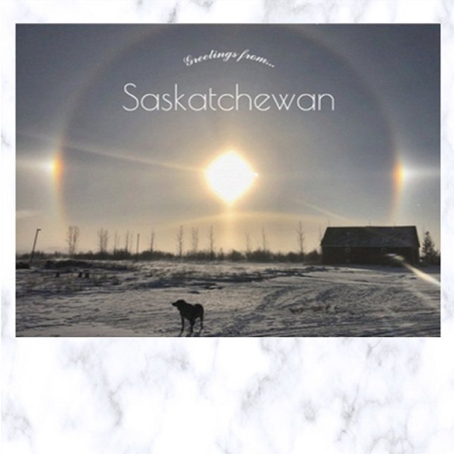 Cartão Postal Cachorro e Cachorro Sol em Archydal Saskatchewan C (Criador carregado)