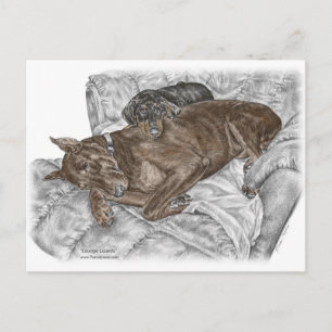 Cartão Postal Cachorro e Filhote Doberman
