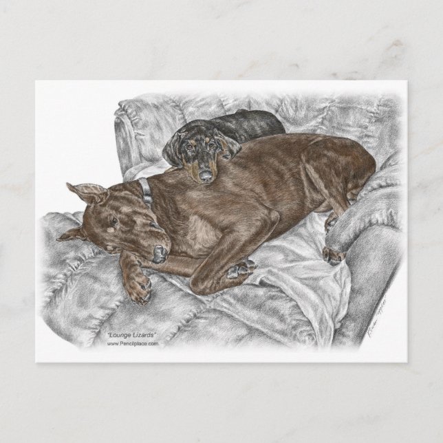 Cartão Postal Cachorro e Filhote Doberman (Frente)