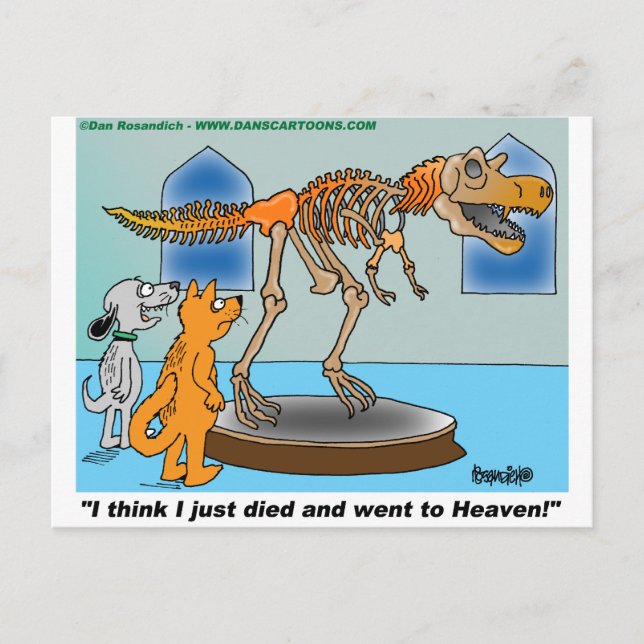 Cartão Postal Cachorro E Gato Em Museu Veem Esqueleto De Dinossa (Frente)