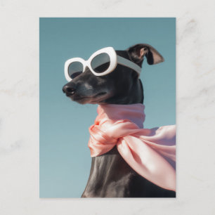 Cartão Postal Cachorro Elegante com Óculos de Sol e Cachecol