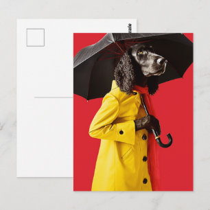 Cartão Postal Cachorro em um impermeável amarelo
