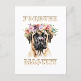 Cartão Postal Cachorro Engraçado e Engraçado de Mastiff Inglês c