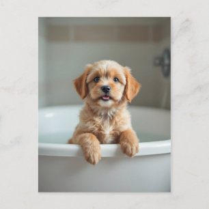 Cartão Postal Cachorro engraçado no banheiro